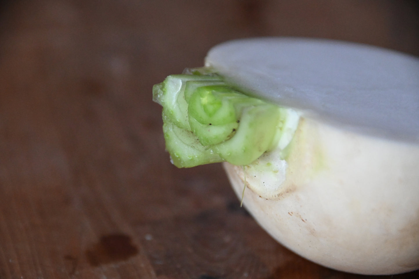 野菜セット Mサイズ