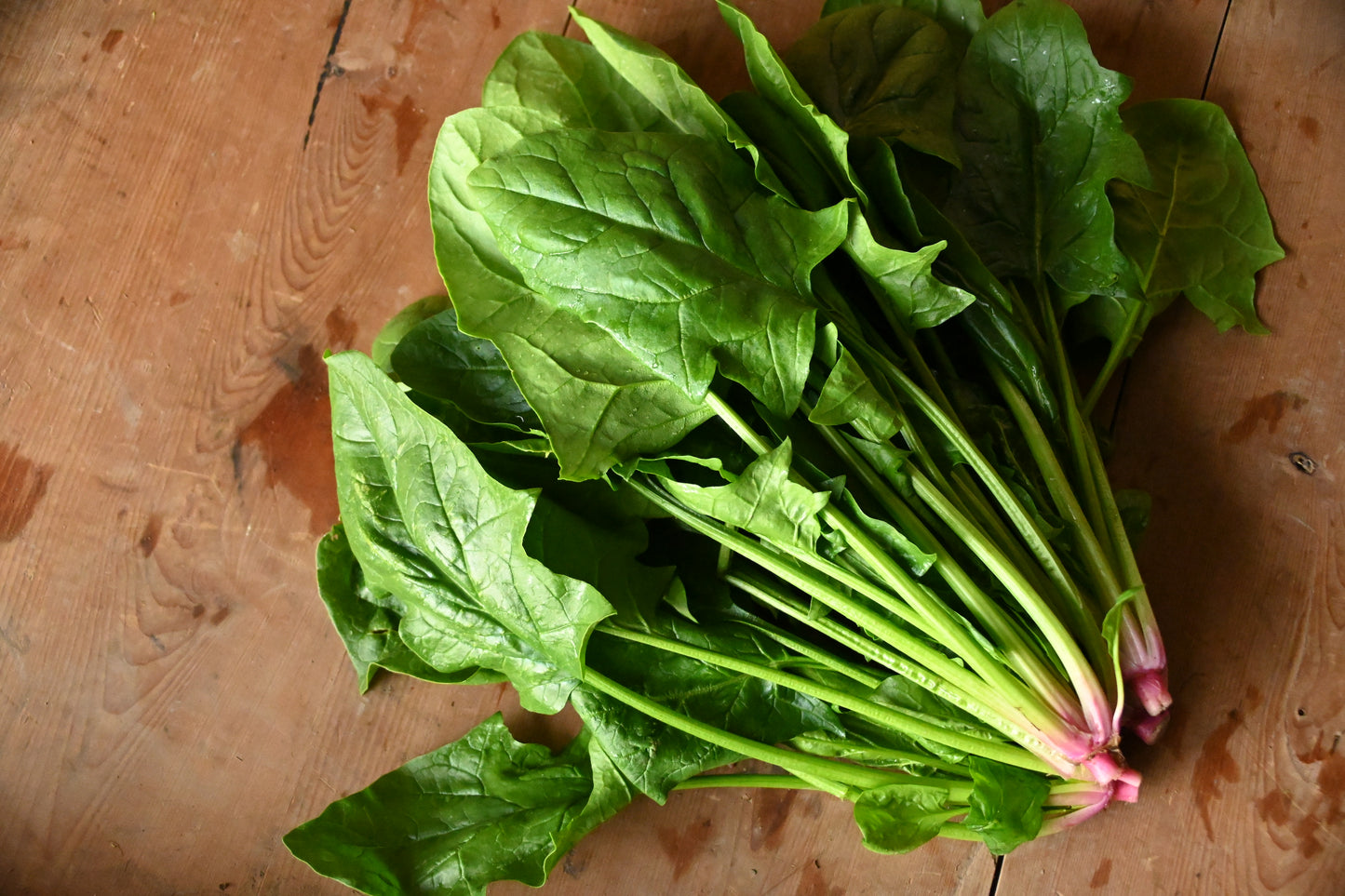野菜セット Mサイズ