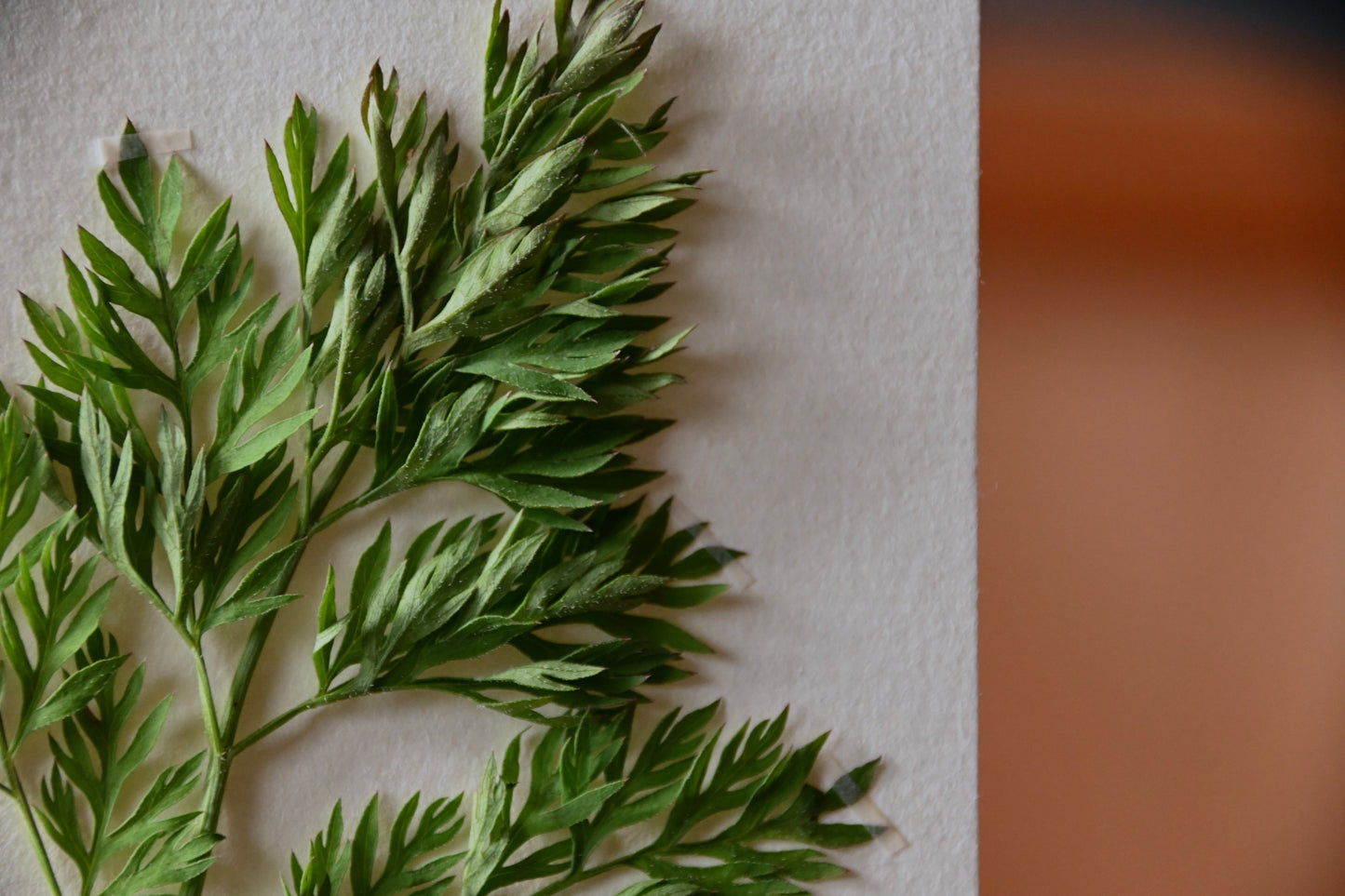 冬の贈り物 Sサイズ